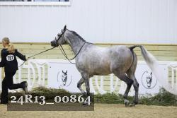 24R13_00864 thumbnail