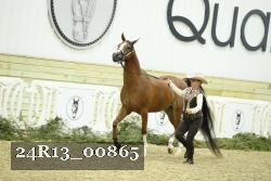 24R13_00865 thumbnail