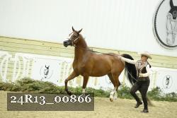 24R13_00866 thumbnail