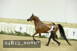 24R13_00867 thumbnail