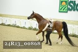 24R13_00868 thumbnail