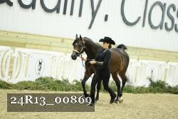 24R13_00869 thumbnail