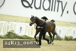24R13_00870 thumbnail