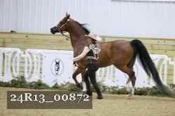 24R13_00872 thumbnail