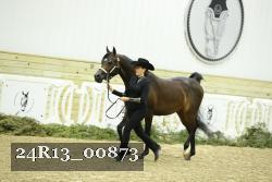 24R13_00873 thumbnail