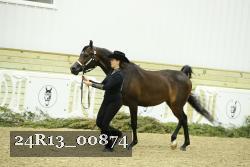 24R13_00874 thumbnail