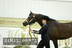 24R13_00875 thumbnail