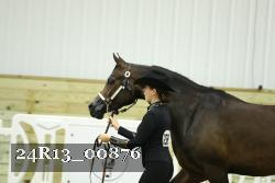24R13_00876 thumbnail