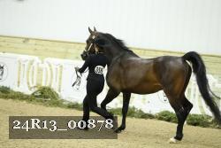24R13_00878 thumbnail