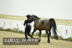 24R13_00880 thumbnail