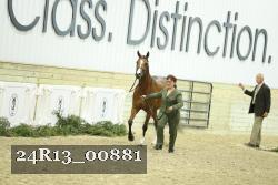 24R13_00881 thumbnail