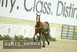 24R13_00882 thumbnail