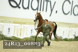 24R13_00883 thumbnail