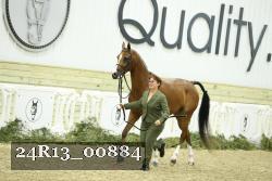 24R13_00884 thumbnail