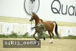 24R13_00885 thumbnail