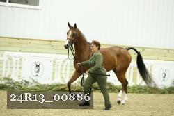 24R13_00886 thumbnail