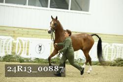 24R13_00887 thumbnail