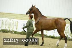 24R13_00888 thumbnail