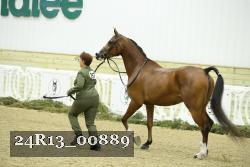 24R13_00889 thumbnail