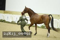24R13_00891 thumbnail