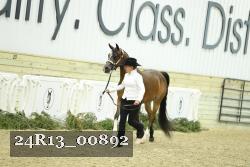 24R13_00892 thumbnail