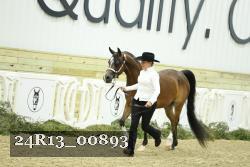 24R13_00893 thumbnail