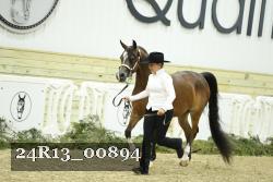 24R13_00894 thumbnail
