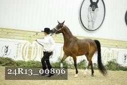 24R13_00896 thumbnail