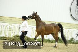 24R13_00897 thumbnail