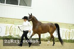 24R13_00898 thumbnail