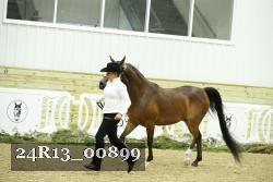 24R13_00899 thumbnail
