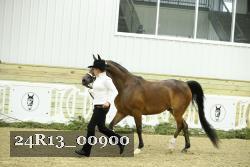 24R13_00900 thumbnail