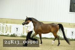 24R13_00901 thumbnail