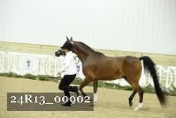 24R13_00902 thumbnail