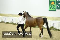 24R13_00904 thumbnail