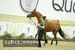 24R13_00909 thumbnail