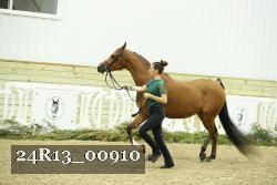 24R13_00910 thumbnail