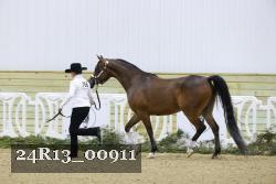 24R13_00911 thumbnail