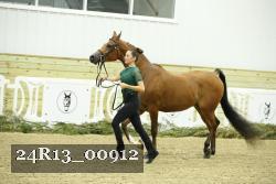 24R13_00912 thumbnail