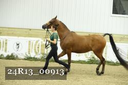 24R13_00913 thumbnail