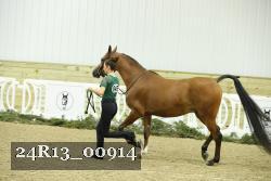 24R13_00914 thumbnail