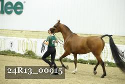 24R13_00915 thumbnail