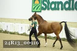 24R13_00916 thumbnail