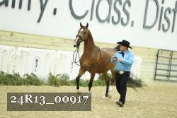 24R13_00917 thumbnail