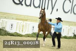 24R13_00918 thumbnail
