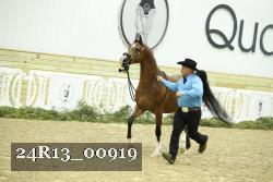 24R13_00919 thumbnail