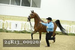 24R13_00920 thumbnail
