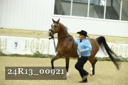24R13_00921 thumbnail
