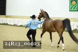 24R13_00923 thumbnail