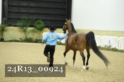 24R13_00924 thumbnail